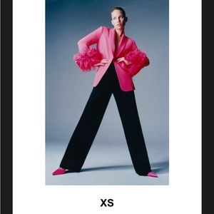 Pink Straight Cut Feather Blazer from Zara .